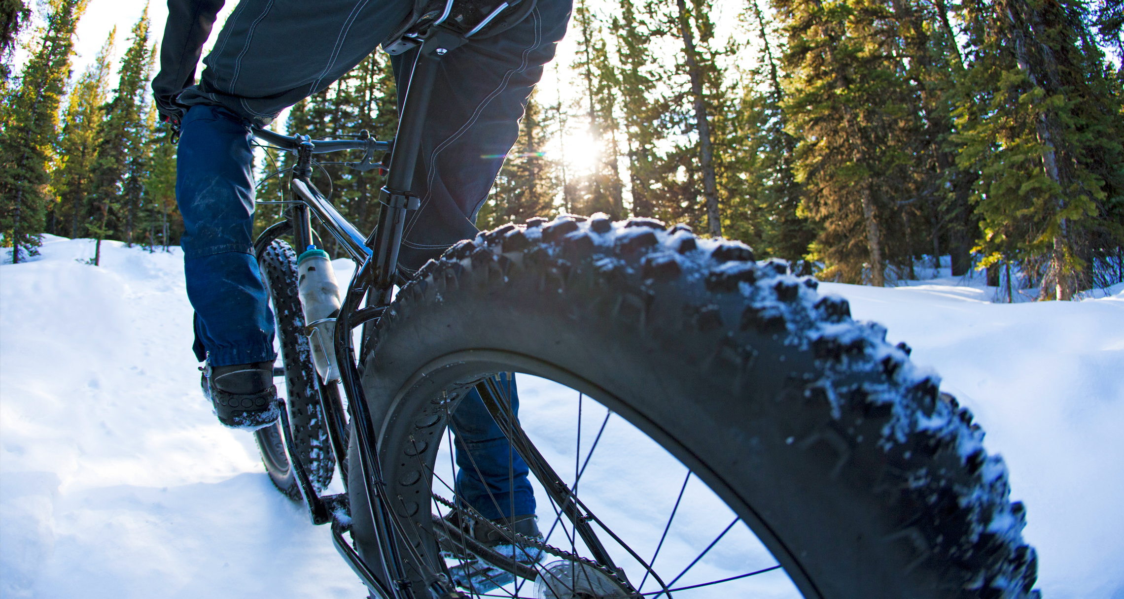 Fat bike in the snow on a forest trail