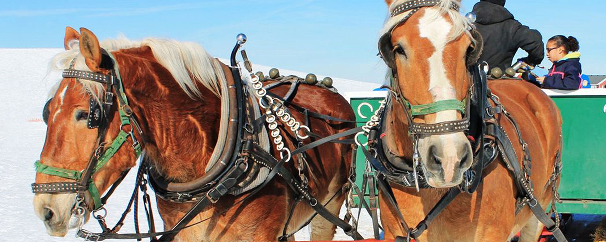 Horse drawn sleigh