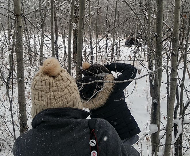 Photographing Bison with @deerpao and @mauricio_schroeder