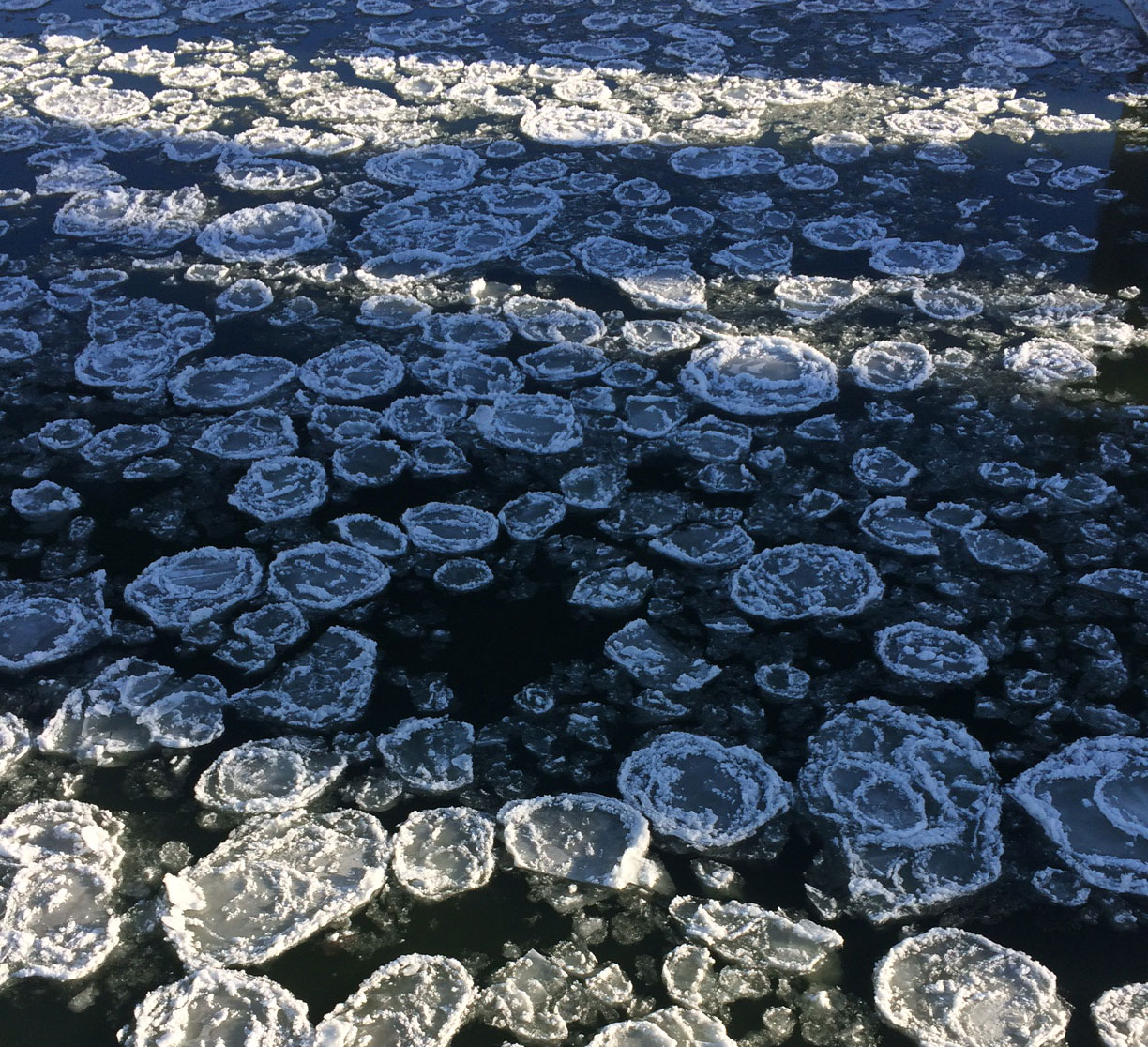 Winter Running Frozen River