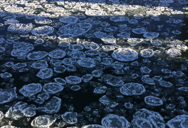 Winter Running Frozen River